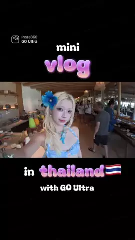 ナマケモノのTikTok投稿