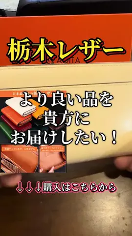 マイスターTETSUのTikTok投稿