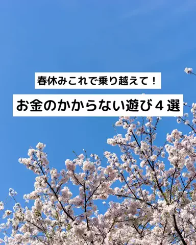 旦那のせいでお金足りないのTikTok投稿