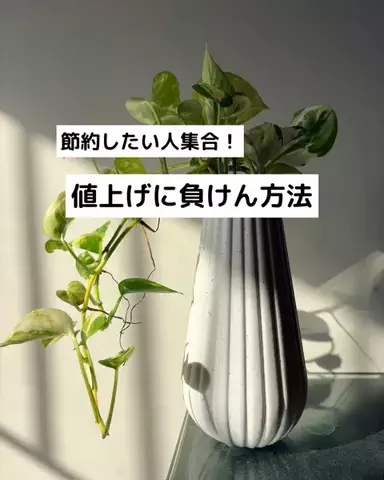 旦那のせいでお金足りないのTikTok投稿