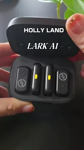 koara_lifehackのTikTok投稿