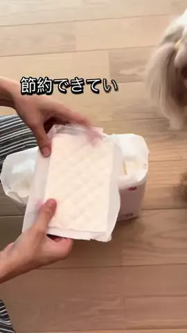 マルプーちゃちゃ🧸おかいものログ🛒のTikTok投稿