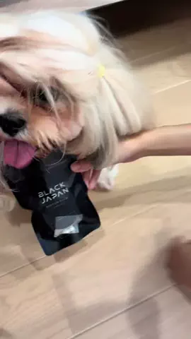 マルプーちゃちゃ🧸おかいものログ🛒のTikTok投稿