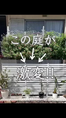 MAIKOのTikTok投稿