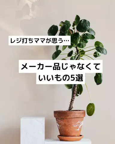 旦那のせいでお金足りないのTikTok投稿