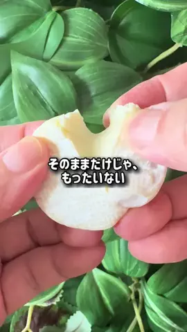 コストコ好き主婦みんごのTikTok投稿