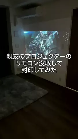 ガイド＆ドライバーチョウさんのTikTok投稿