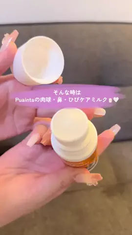 ポメラニアンの雪姫🐻‍❄️🎀のTikTok投稿