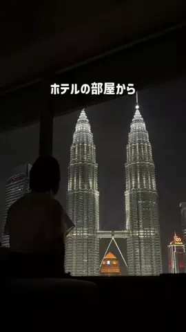 くろねこしろねこ😸海外旅行🌏のTikTok投稿