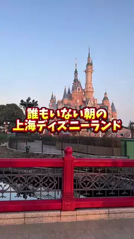 すかいぶるぅのTikTok投稿