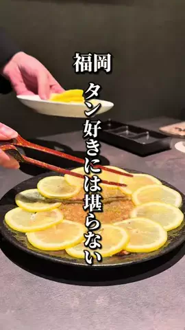 ドンマンログ【福岡居酒屋/福岡ランチ】のTikTok投稿