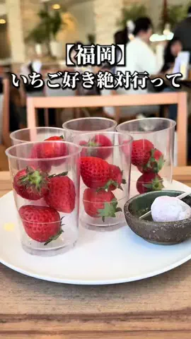 ドンマンログ【福岡居酒屋/福岡ランチ】のTikTok投稿