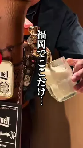 ドンマンログ【福岡居酒屋/福岡ランチ】のTikTok投稿