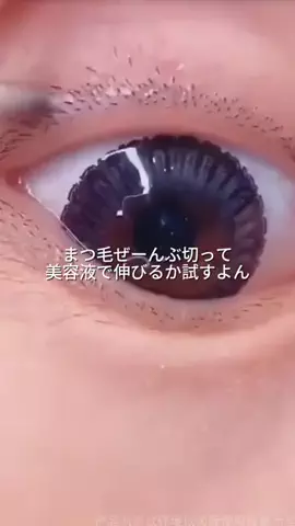 なーちゃん🪄のTikTok投稿