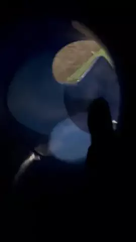 それ以上はずるいよのTikTok投稿