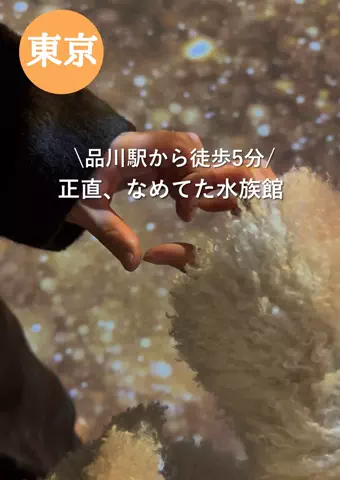 群馬発すー旅⌇旅と暮らしのTikTok投稿