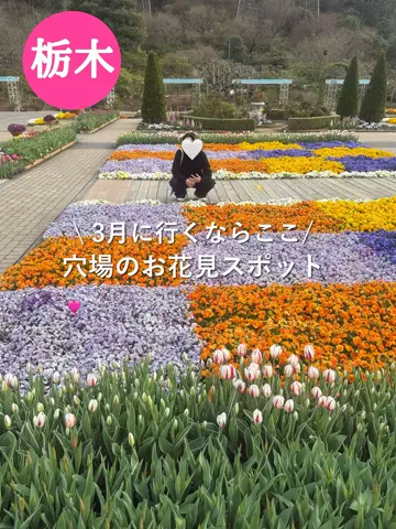 群馬発すー旅⌇旅と暮らしのTikTok投稿