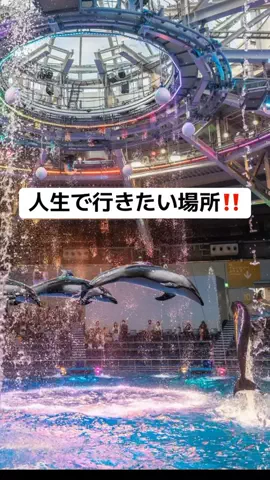 みおり3/30終了(配信)🧸🎀のTikTok PR投稿：#春限定コンテスト1 #春休みキャンペーン #PR #TikTokGO #おす…