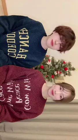 わしまのTikTok投稿