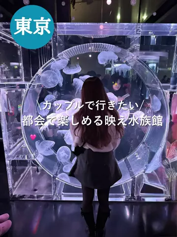 群馬発すー旅⌇旅と暮らしのTikTok投稿