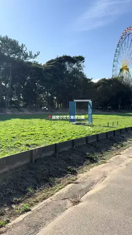 群馬発すー旅⌇旅と暮らしのTikTok投稿