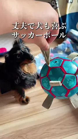焼きビーフンのTikTok投稿