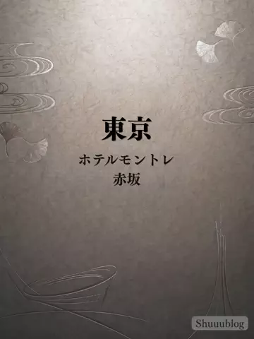 shuuublog/ホテル紹介のTikTok投稿