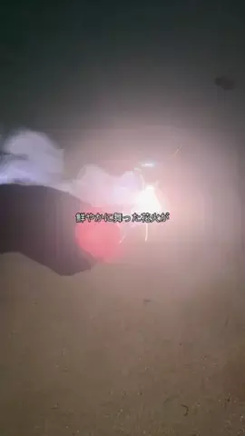 P DogのTikTok投稿