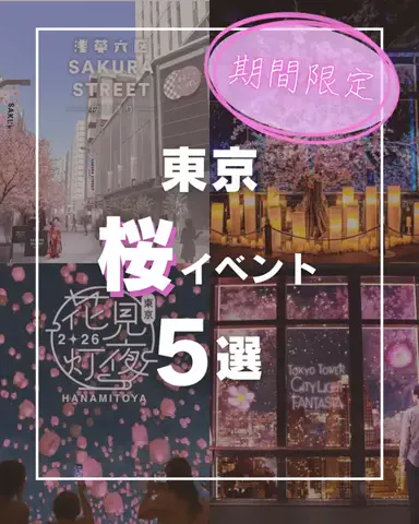 トレンド先生🎓│ 話題のトレンド解説のTikTok投稿