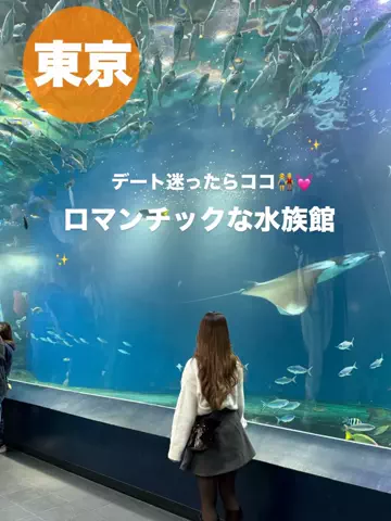 群馬発すー旅⌇旅と暮らしのTikTok投稿