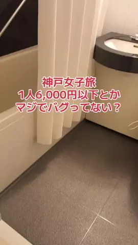 野良猫　イチくんとナナちゃんのTikTok投稿