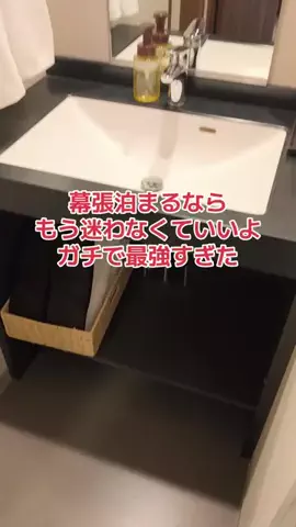 野良猫　イチくんとナナちゃんのTikTok投稿