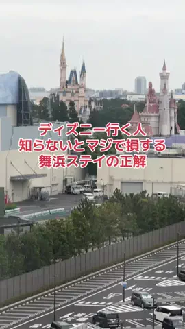 野良猫　イチくんとナナちゃんのTikTok投稿