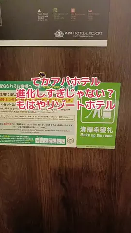 野良猫　イチくんとナナちゃんのTikTok投稿