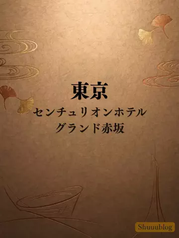 shuuublog/ホテル紹介のTikTok投稿
