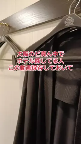 野良猫　イチくんとナナちゃんのTikTok投稿