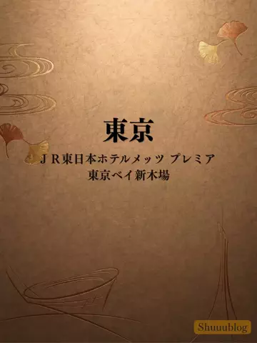 shuuublog/ホテル紹介のTikTok投稿