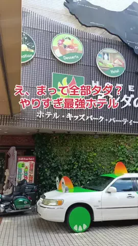 野良猫　イチくんとナナちゃんのTikTok投稿