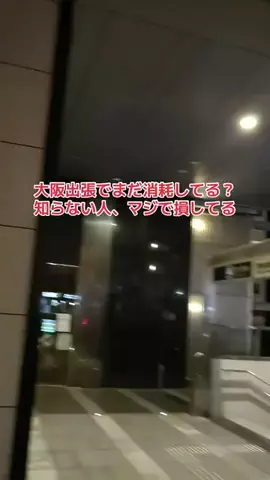 野良猫　イチくんとナナちゃんのTikTok投稿