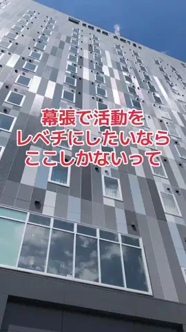 野良猫　イチくんとナナちゃんのTikTok投稿
