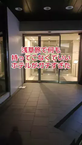 野良猫　イチくんとナナちゃんのTikTok投稿