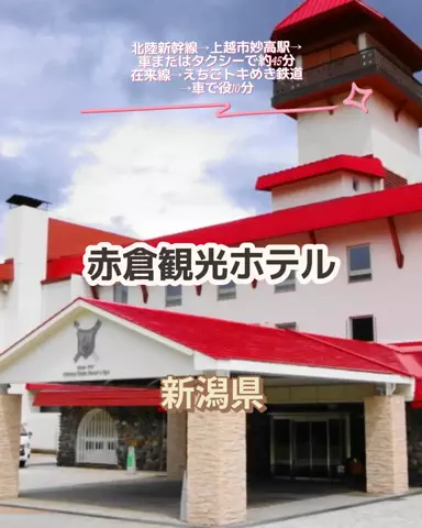 🌿𝙉𝙖𝙢𝙞🍜❤【自粛中】のTikTok投稿