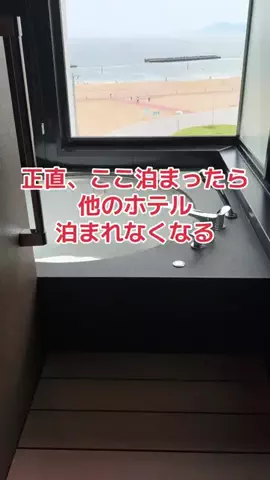 野良猫　イチくんとナナちゃんのTikTok投稿