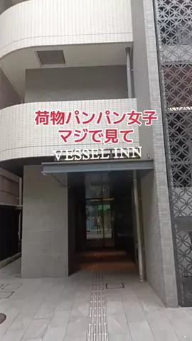 野良猫　イチくんとナナちゃんのTikTok投稿