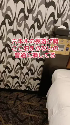 野良猫　イチくんとナナちゃんのTikTok投稿
