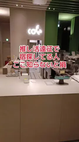 野良猫　イチくんとナナちゃんのTikTok投稿