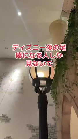 野良猫　イチくんとナナちゃんのTikTok投稿