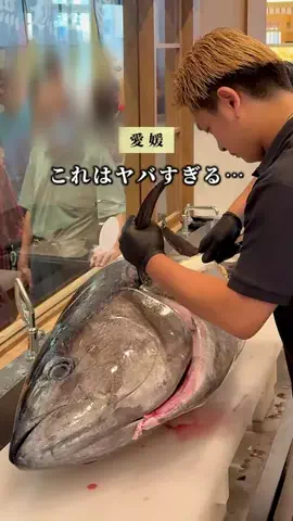 チチトコ⌇愛媛グルメ＆おでかけのTikTok投稿