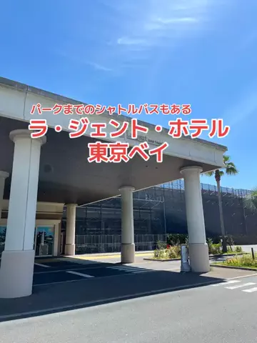 野良猫　イチくんとナナちゃんのTikTok投稿