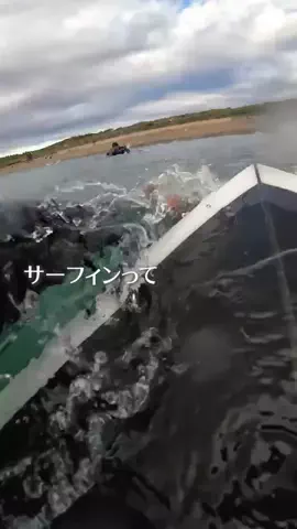 ショウ｜サウナとゴルフと出世のTikTok投稿